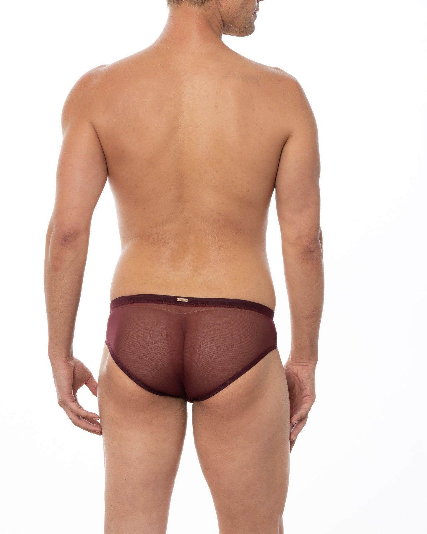 Merlot Sheer Mesh Bikini Brief