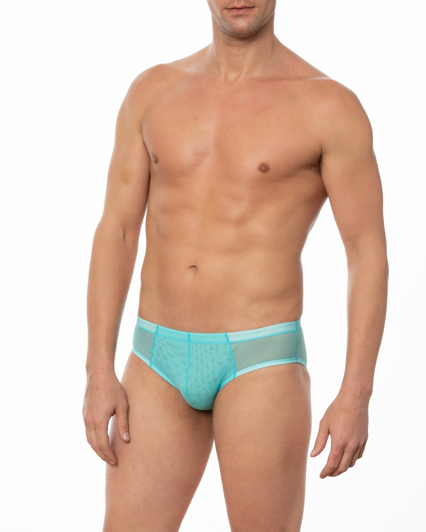 Light Blue Sheer Mesh Bikini Brief