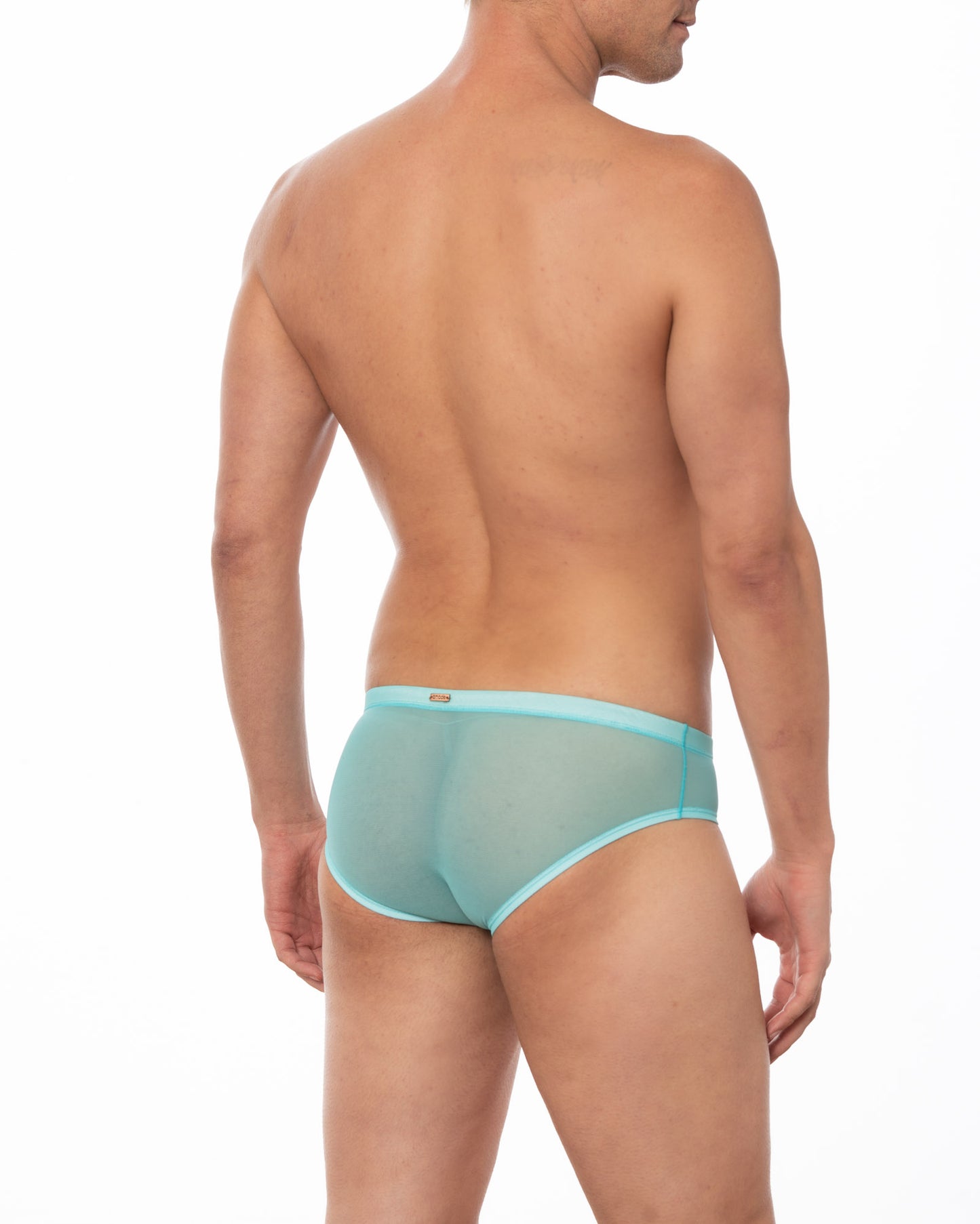 Light Blue Sheer Mesh Bikini Brief
