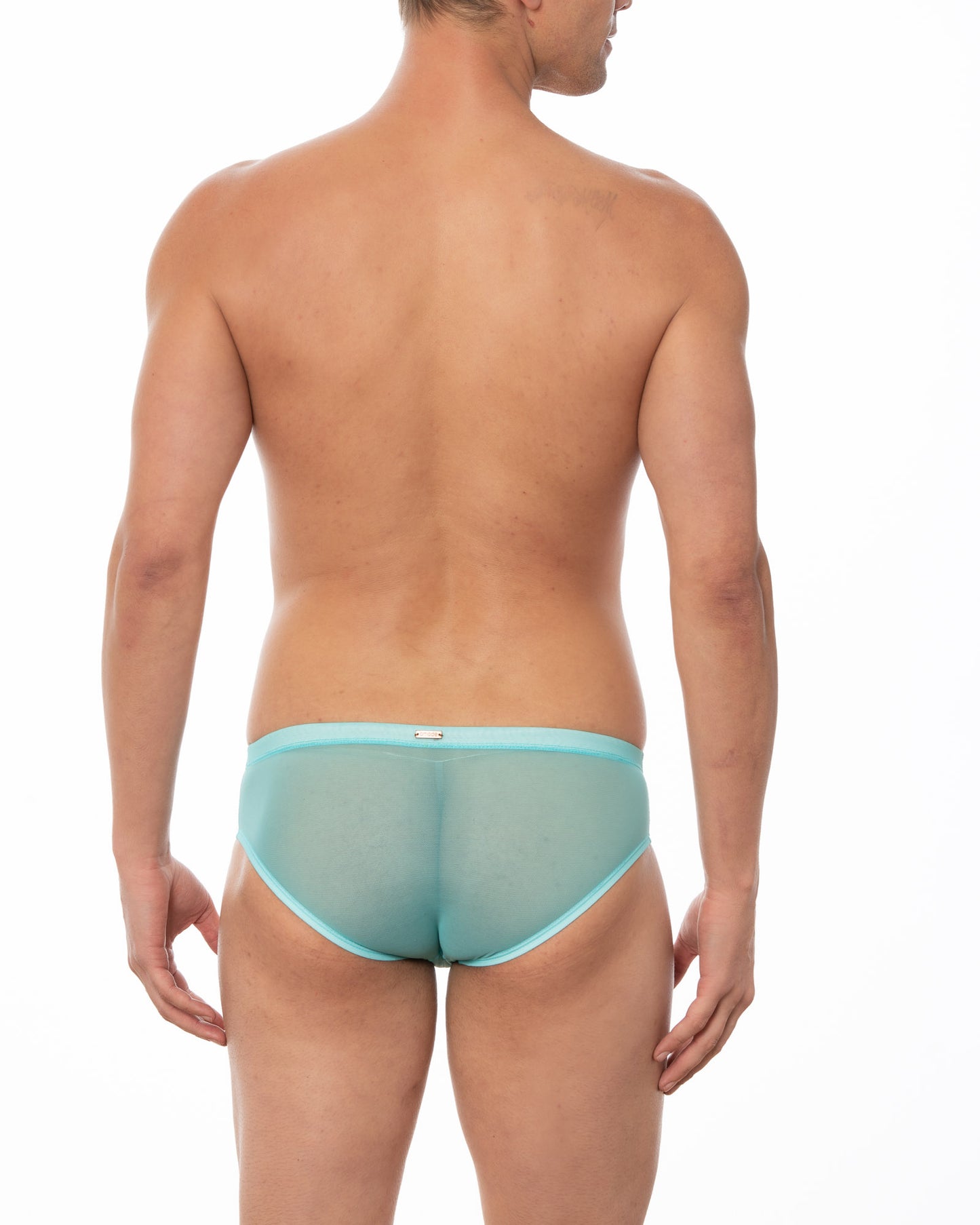 Light Blue Sheer Mesh Bikini Brief