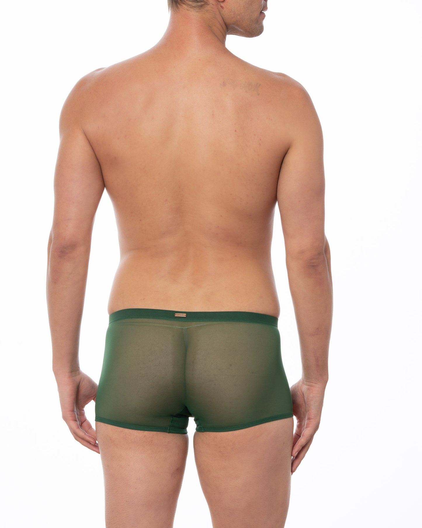 Green Sheer Mesh Boxer Brief