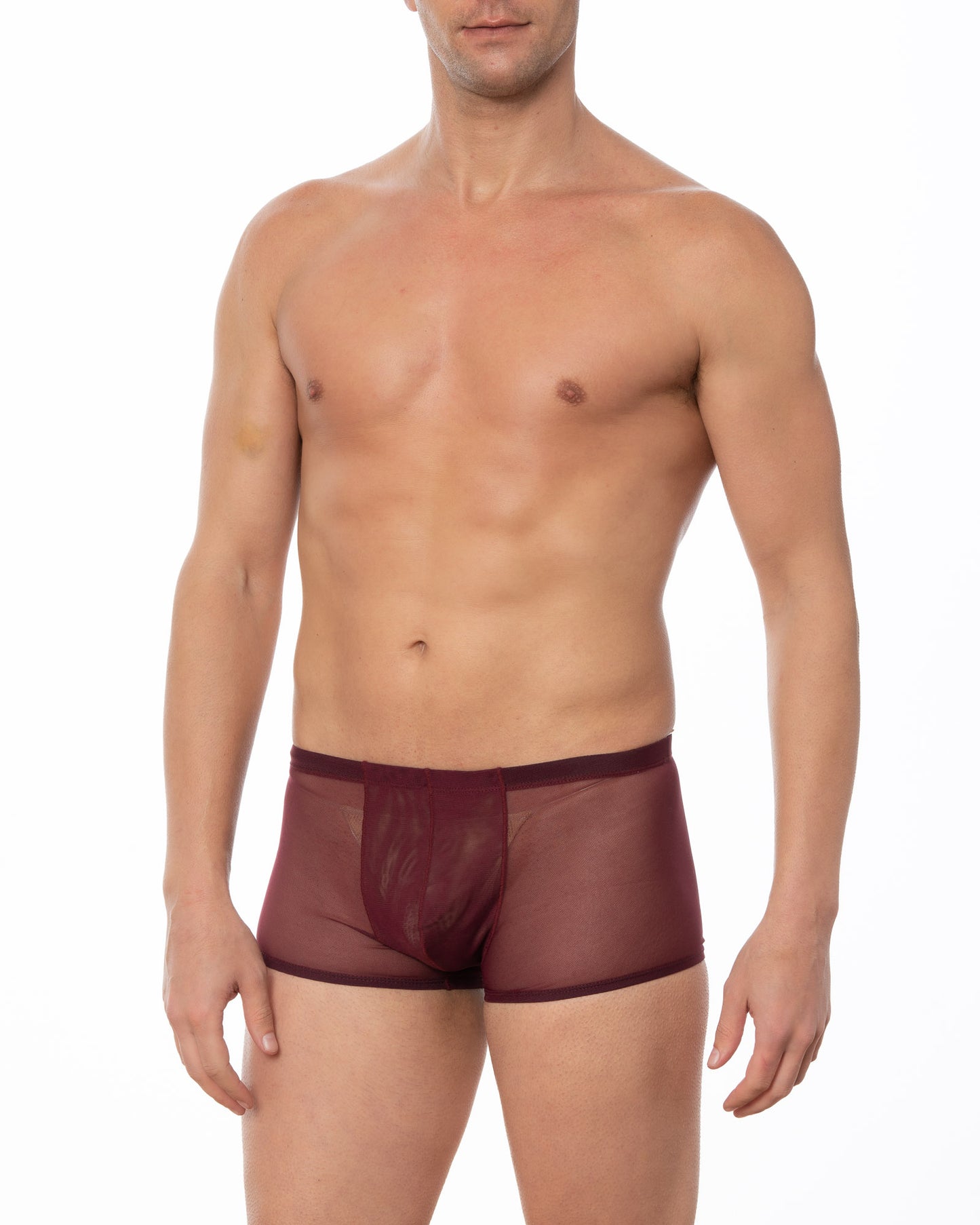 Merlot Sheer Mesh Boxer Brief
