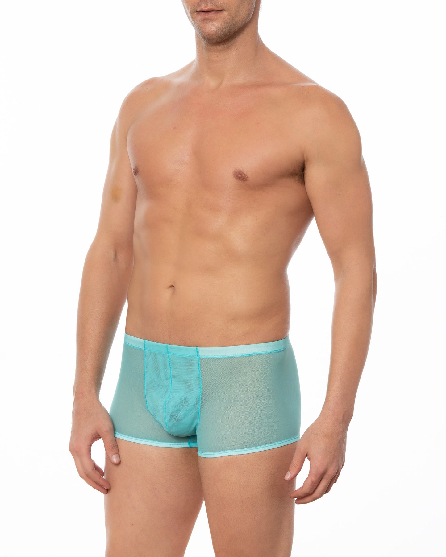 Light Blue Sheer Mesh Boxer Brief