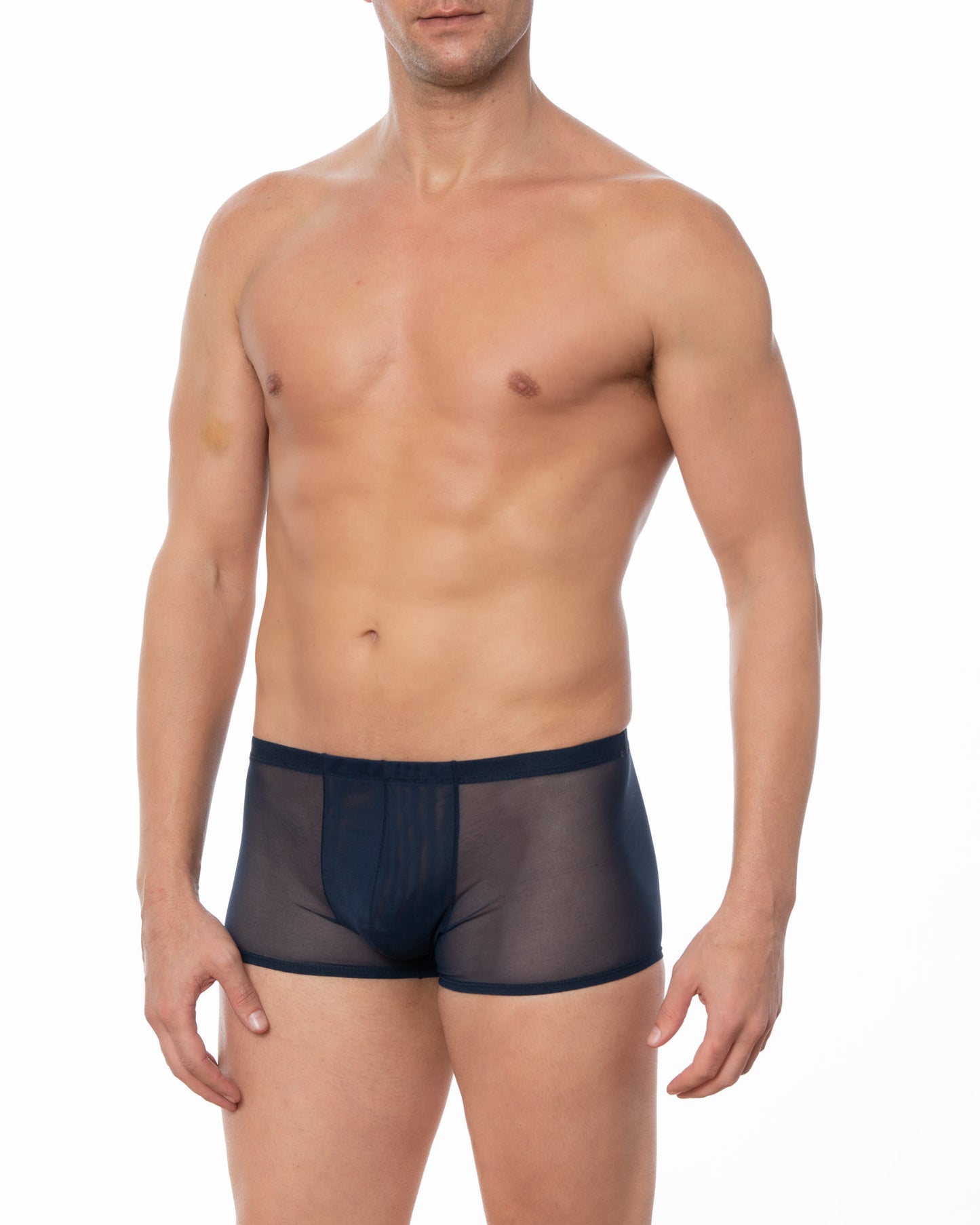 Navy Sheer Mesh Boxer Brief