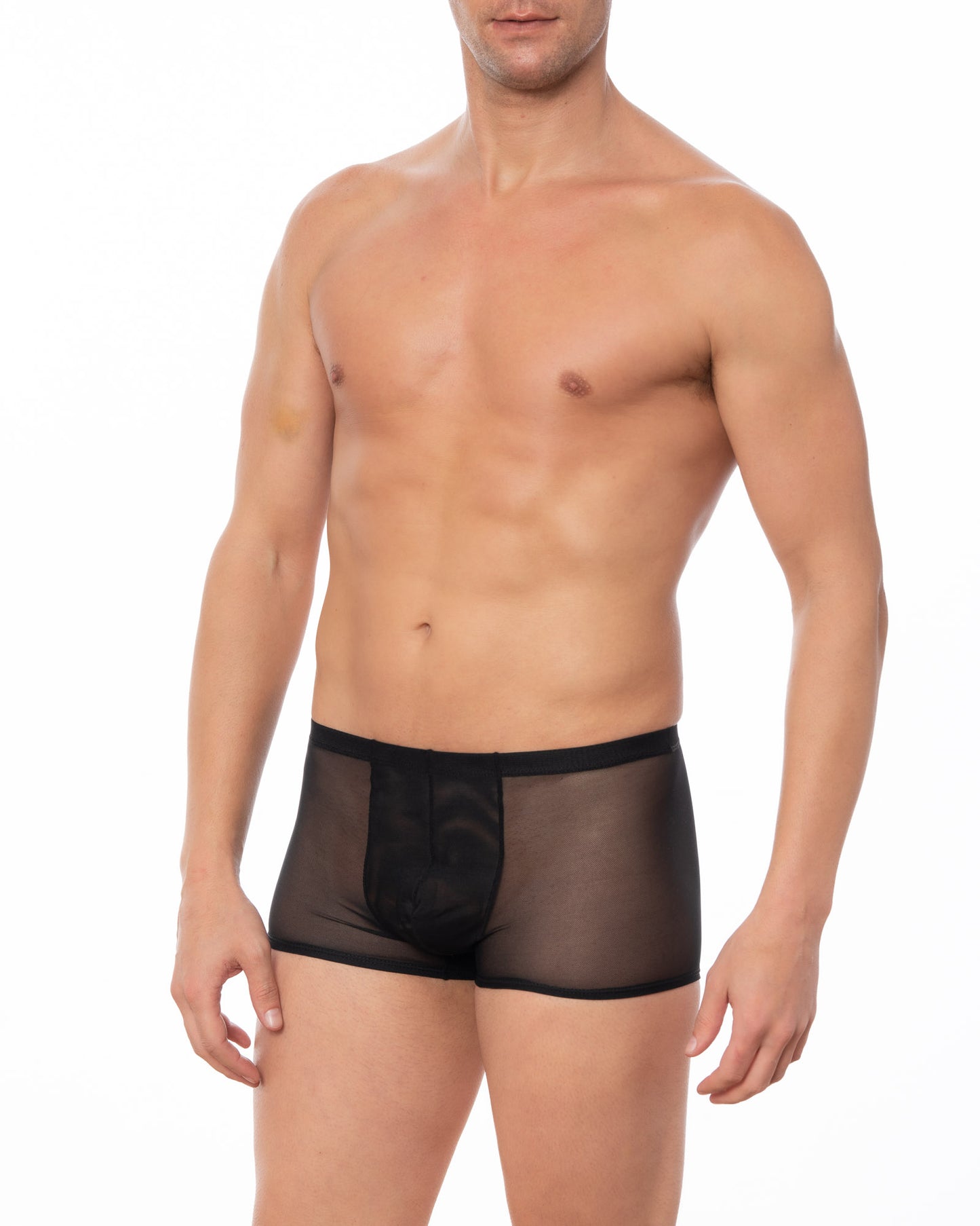 Black Sheer Mesh Boxer Brief