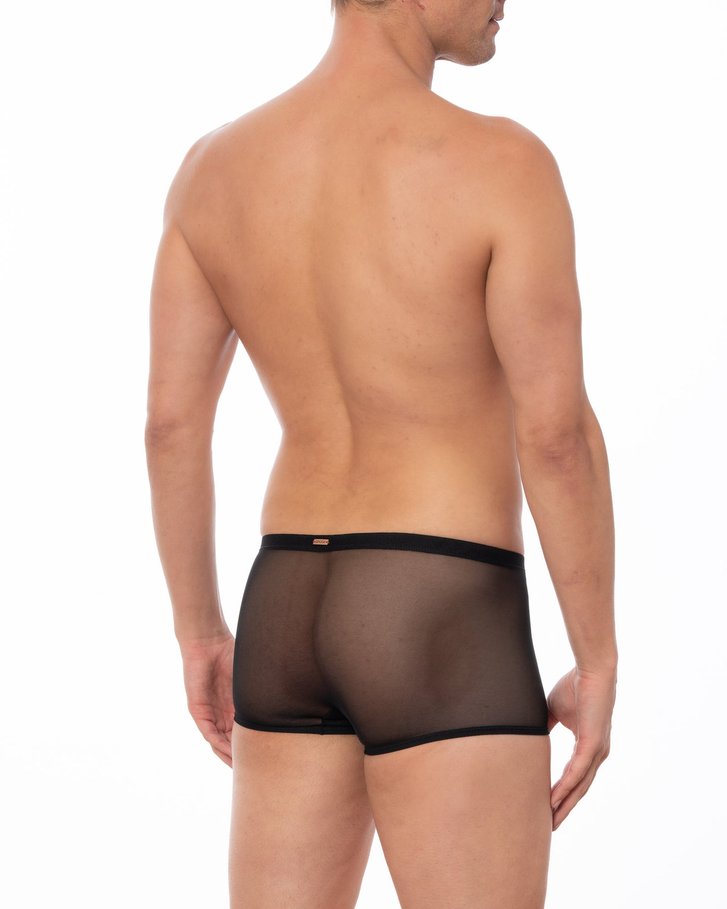 Black Sheer Mesh Boxer Brief