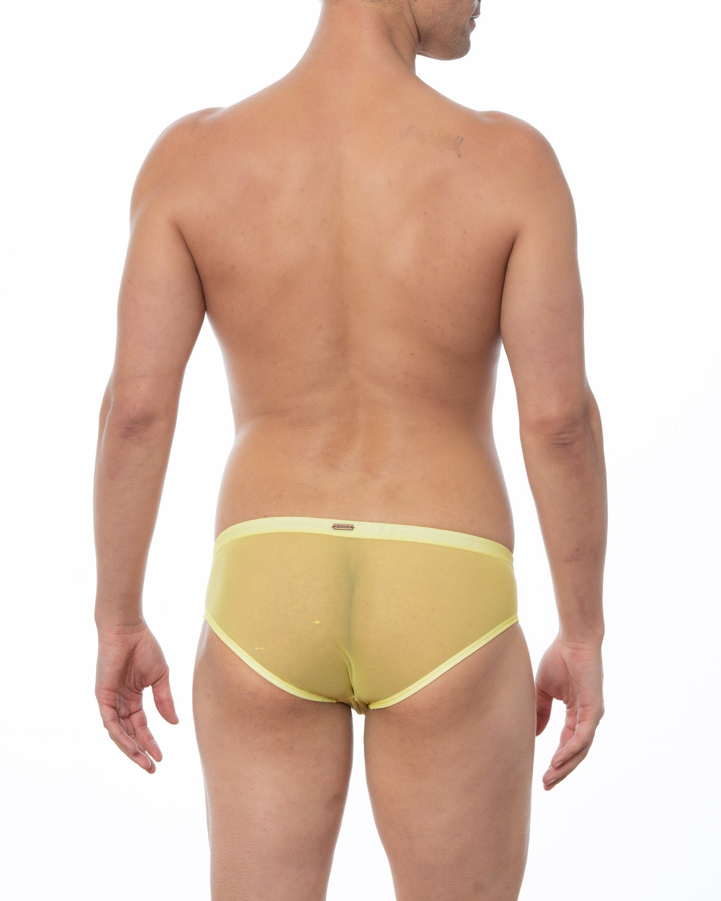 Lemon Yellow Sheer Mesh Bikini Brief