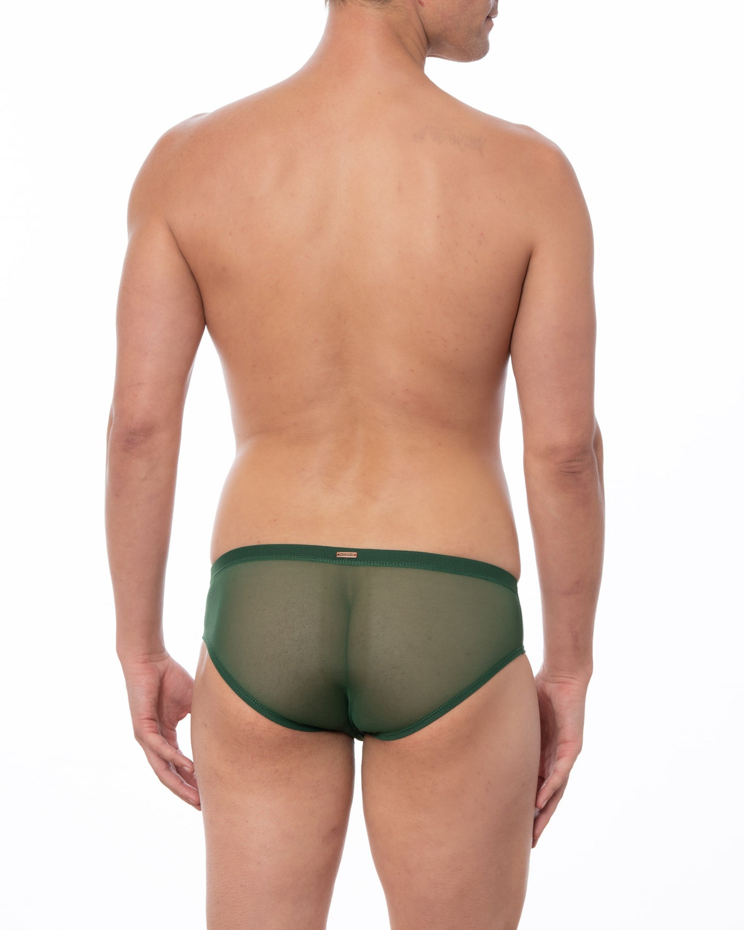 Green Sheer Mesh Bikini Brief