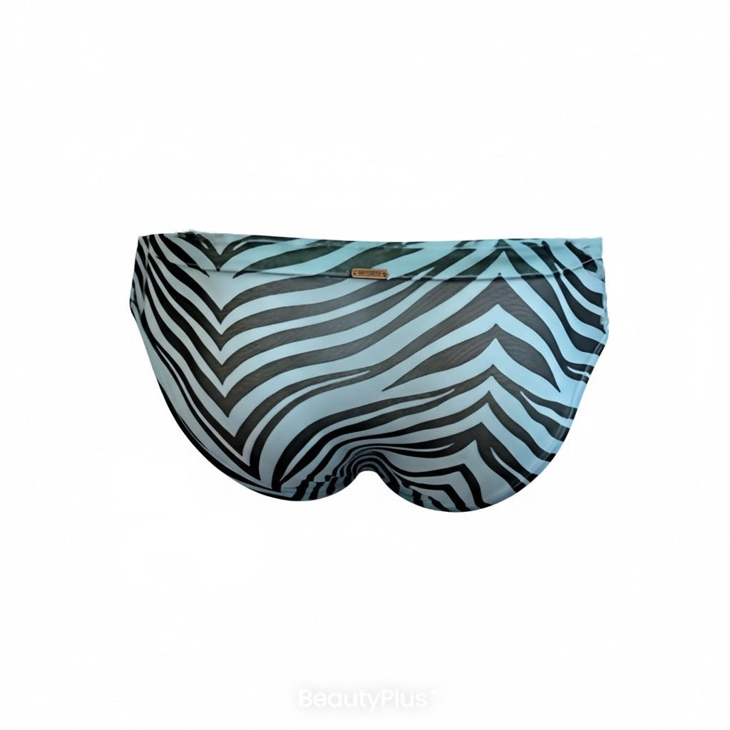 Zebra Print - Low Rise JASPER Sheer Mesh Bikini Brief