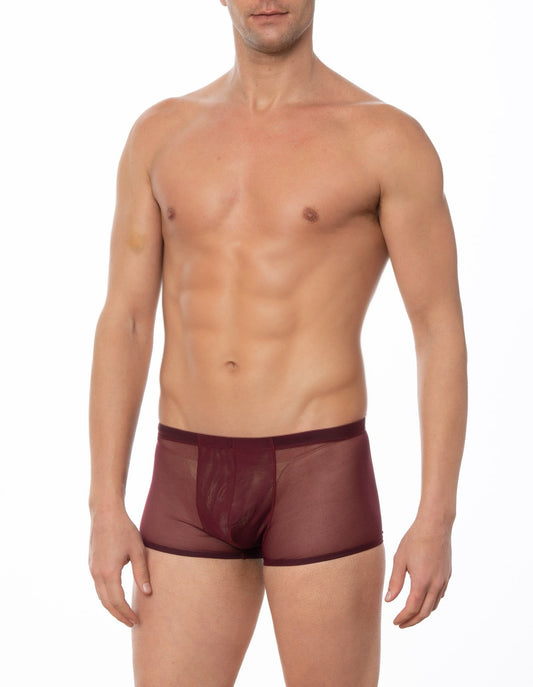 Wine - GRANT Sheer Mesh Boxer Brief