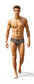 Leopard Print - Low Rise JASPER Sheer Mesh Bikini Brief