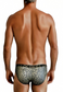 Leopard Print - Low Rise JASPER Sheer Mesh Bikini Brief