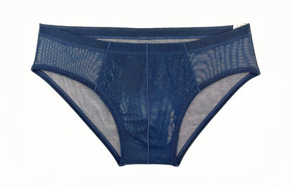 JASPER Navy Sheer Mesh Bikini Brief | Amade Swim