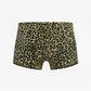 Leopard Print - GRANT Sheer Mesh Boxer Brief