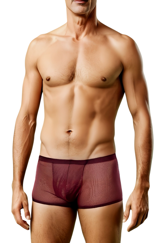Wine - GRANT Sheer Mesh Boxer Brief