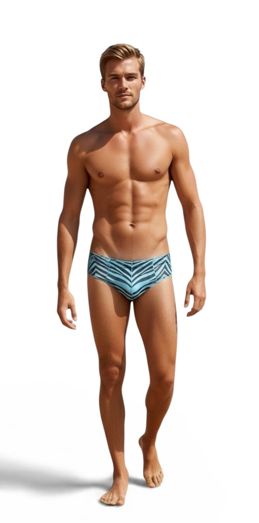 Zebra Print - Low Rise JASPER Sheer Mesh Bikini Brief