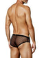 Best Seller - Black - Low Rise JASPER Sheer Mesh Bikini Brief