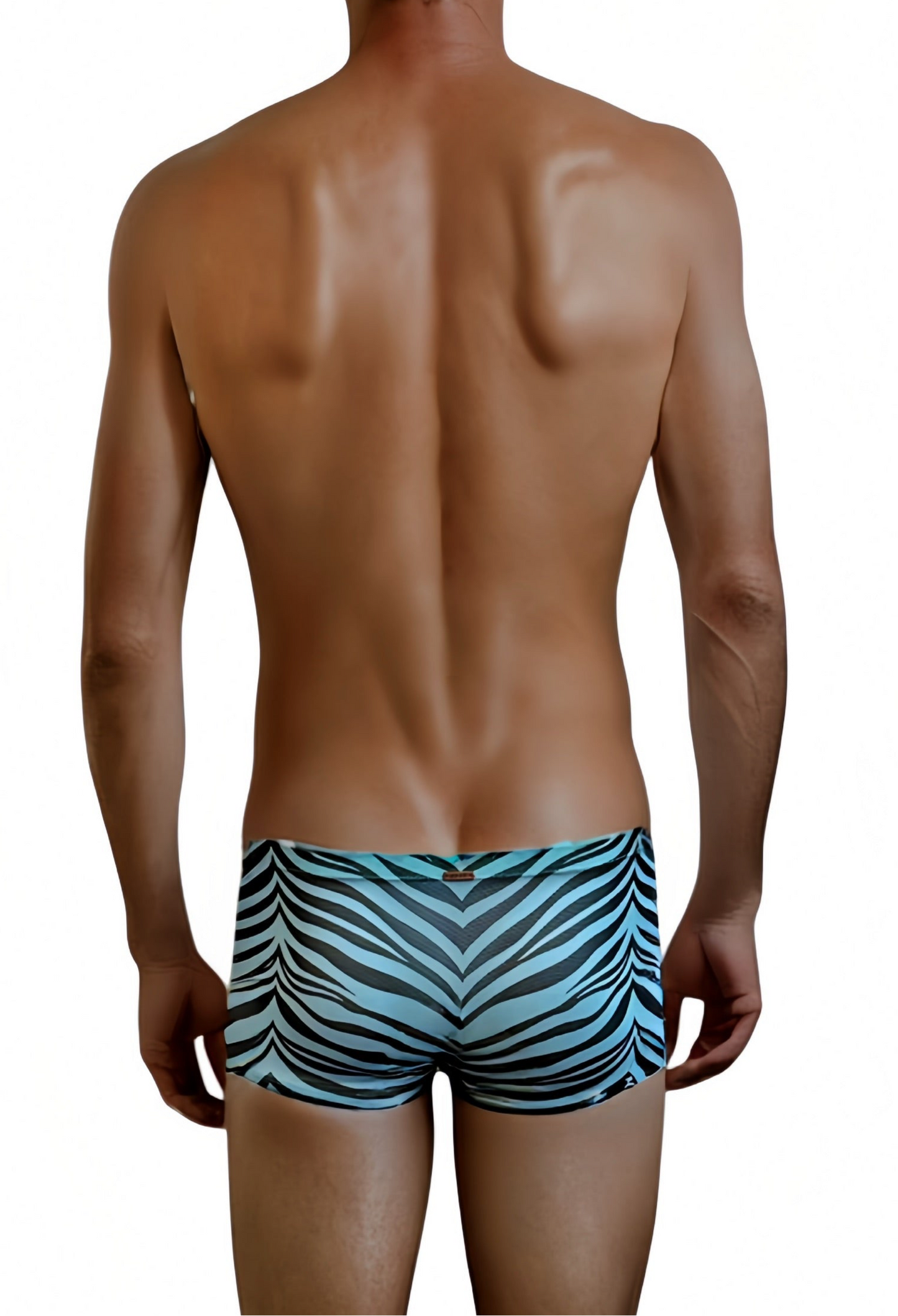 Zebra Print - GRANT Sheer Mesh Boxer Brief