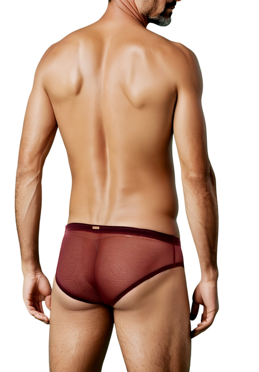 Wine JASPER - Low Rise Sheer Mesh Bikini Brief