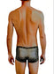 Leopard Print - GRANT Sheer Mesh Boxer Brief