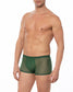Green Sheer Mesh Boxer Brief