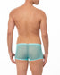 Light Blue Sheer Mesh Boxer Brief