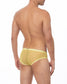 Lemon Yellow Sheer Mesh Bikini Brief