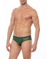 Green Sheer Mesh Bikini Brief