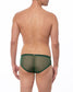 Green Sheer Mesh Bikini Brief